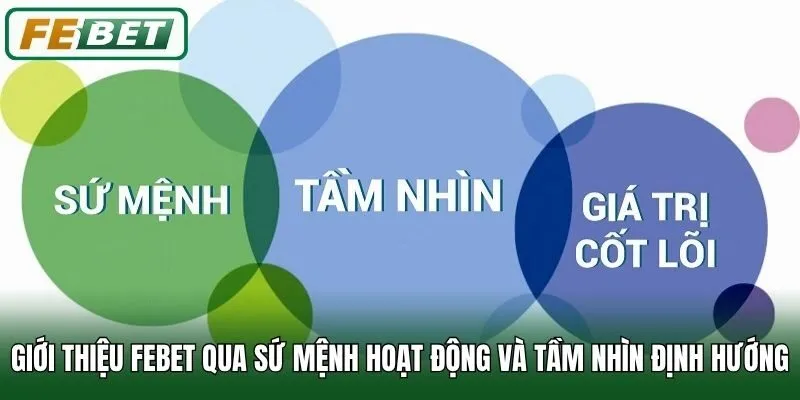 Giới thiệu Febet qua sứ mệnh hoạt động và tầm nhìn định hướng