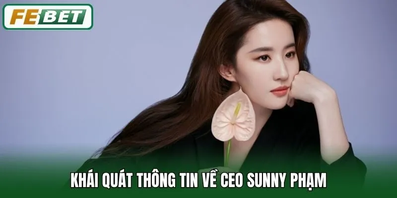 Khái quát thông tin về CEO Sunny Phạm