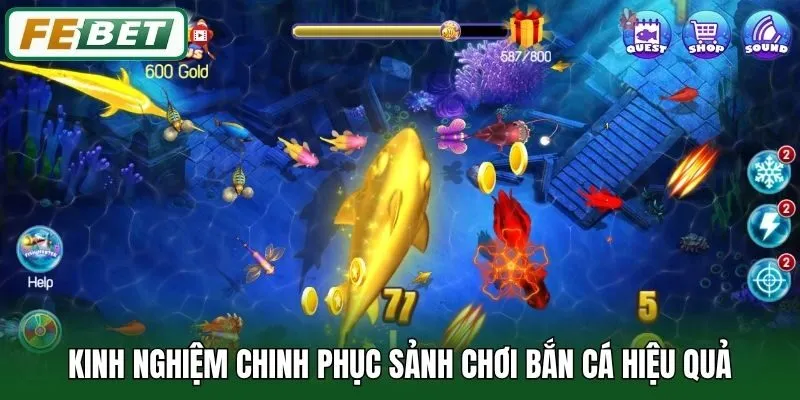Kinh nghiệm chinh phục sảnh chơi Bắn Cá hiệu quả